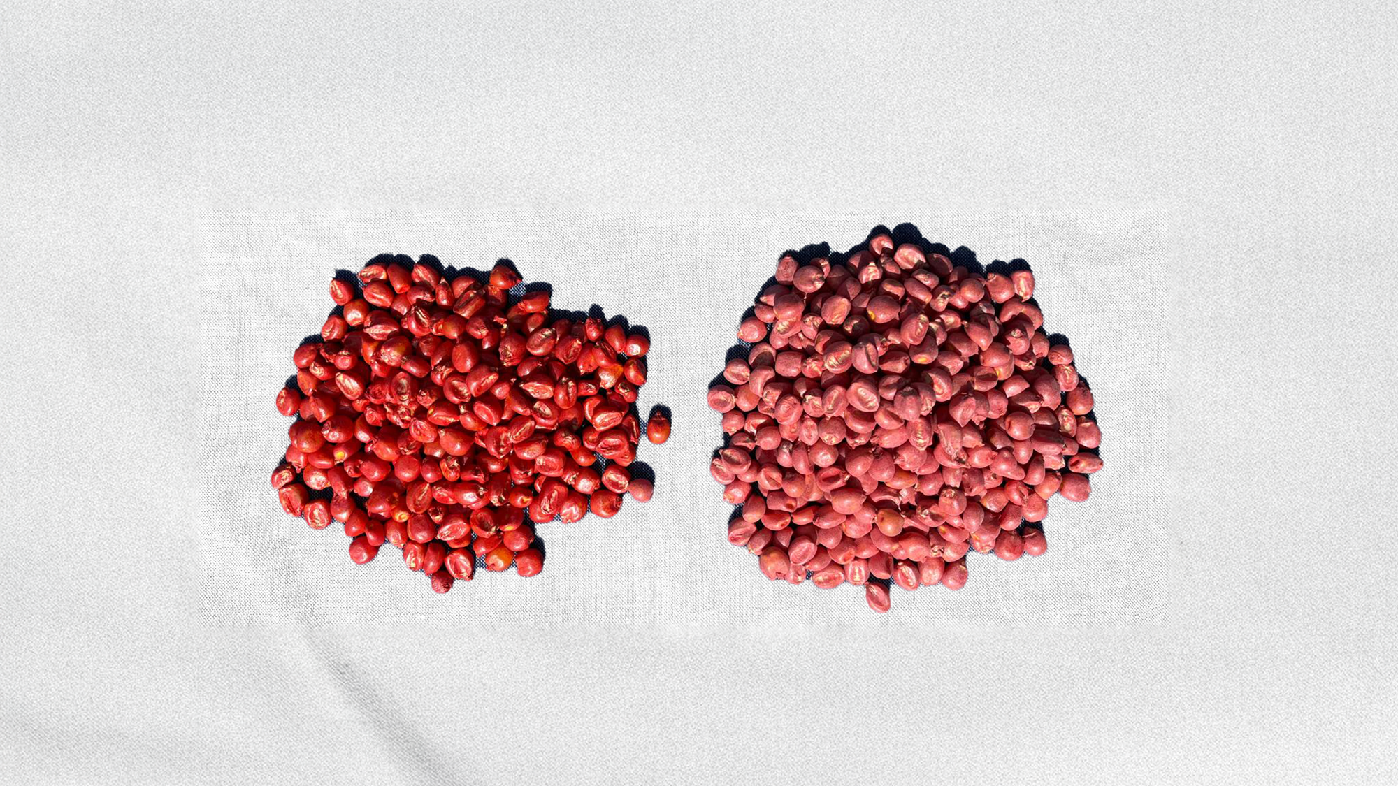 Treated Vs Untreated