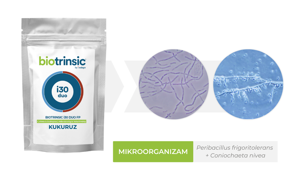 i30 duo FP Microbe (2)